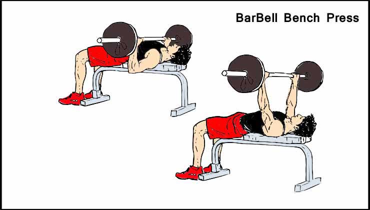 Chest Workout For Men in Hindi BarBell Bench Press