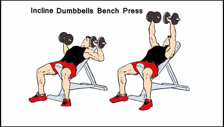 Incline dumbbells press