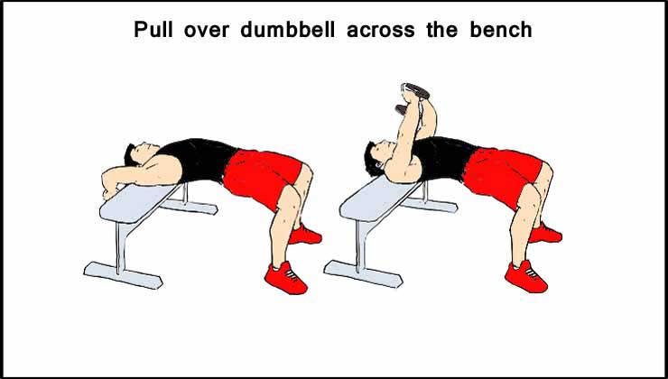 Pull Over Dumbbell Across the Bench