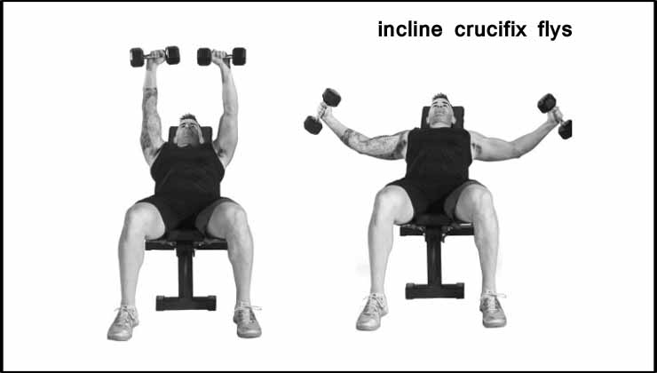 Incline crucifix flys