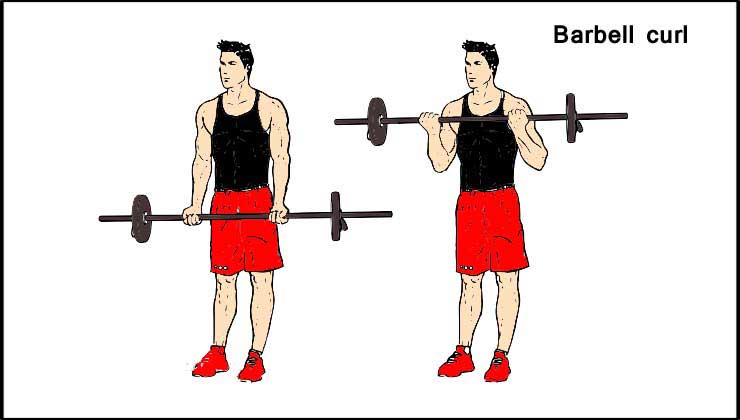 Biceps Workout in Hindi Barbell curl