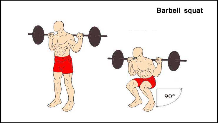 Leg Workout in Hindi Barbell Squat