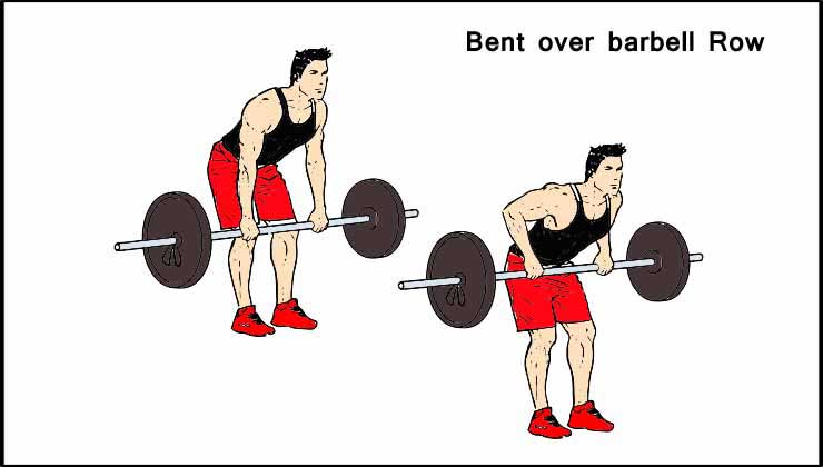 Bent Over Barbell Row