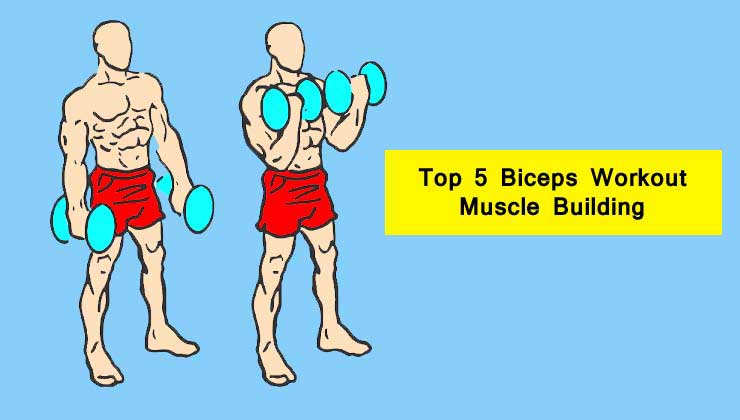 Biceps Workout in Hindi