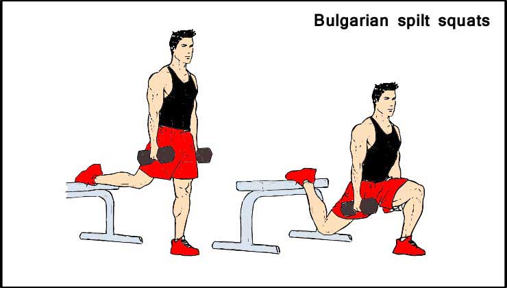 Bulgarian spilt squats