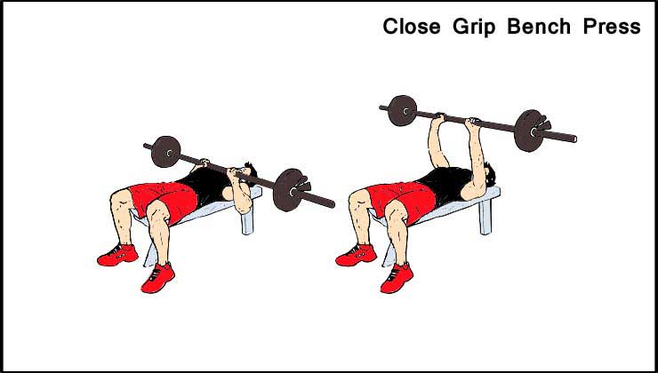 Triceps Workout in Hindi Close Grip Bench Press