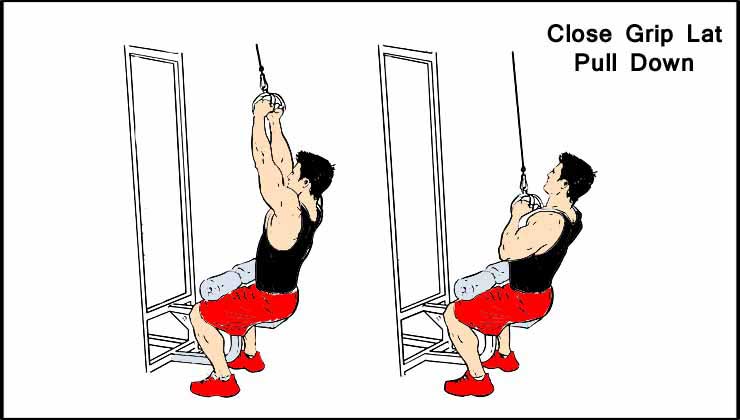 Close Grip Lat Pull Down