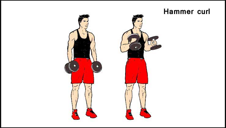Biceps Workout in Hindi Hammer curl