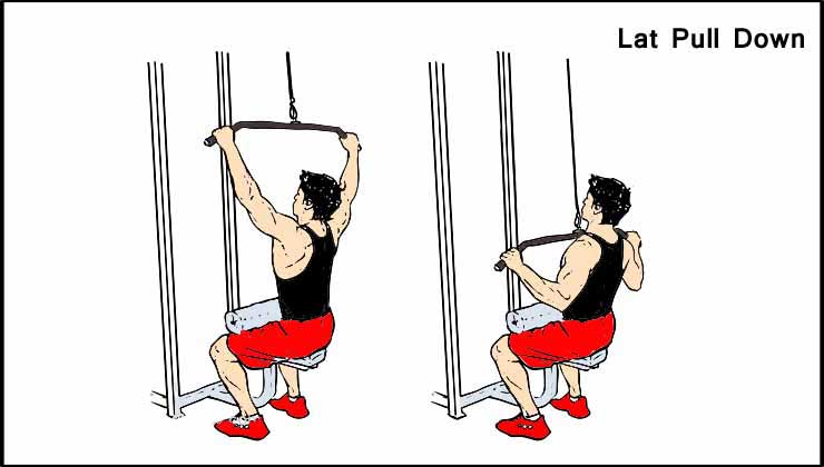 Lat Pull Down