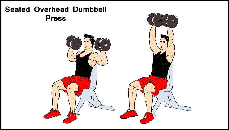 Seated Overhead Dumbbell Press For Shoulder Exercise