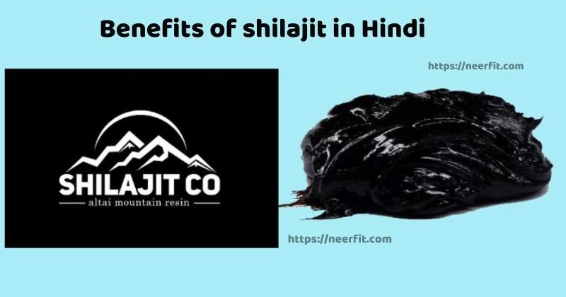 benefits of shilajit in hindi