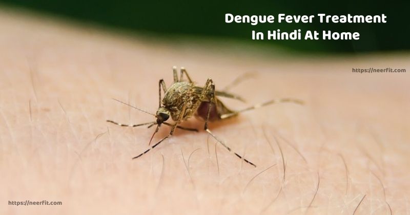 Dengue Fever Treatment In Hindi At Home