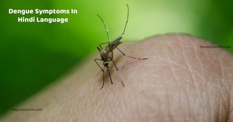 Dengue Symptoms In Hindi Language