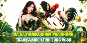 Đá Gà Thomo: Khám Phá Những Trận Đấu Kịch Tính Cùng YG88