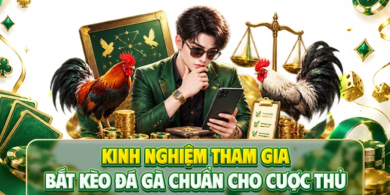 Kinh nghiệm tham gia bắt kèo đá gà chuẩn cho cược thủ