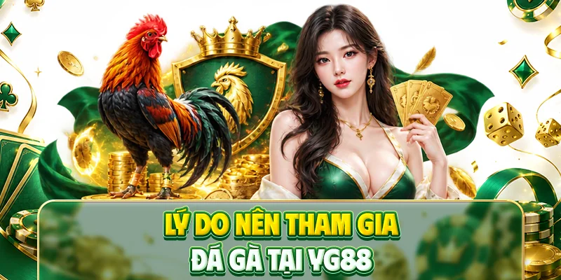 Lý do nên tham gia đá gà tại YG88